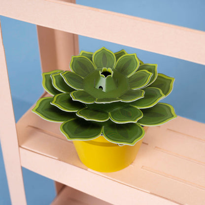 Make Your Own Soothing Succulent Paper Plant Kit