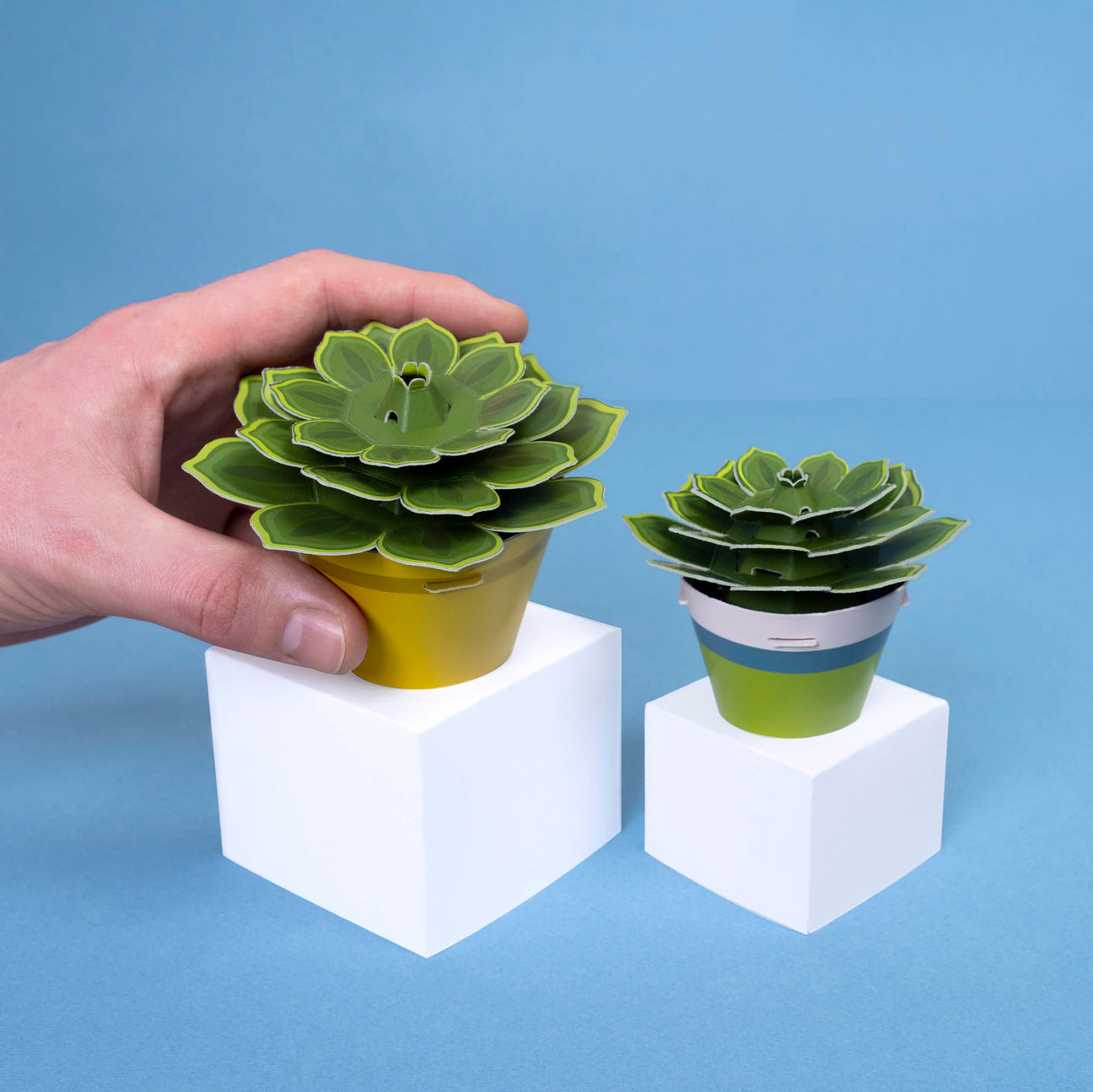 Make Your Own Soothing Succulent Paper Plant Kit